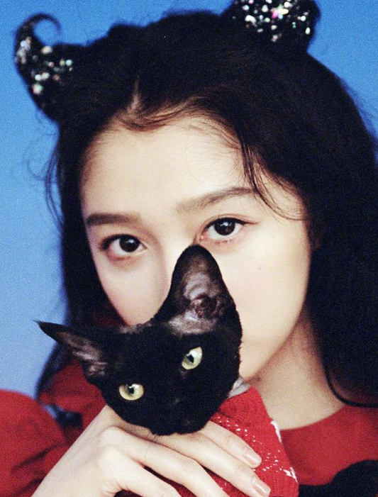 关晓彤抱猫合影只顾自己美低头一看怀里猫的表情笑出声了