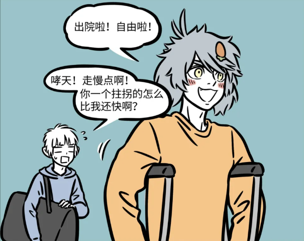 非人哉哮天犬出院后精神状态太好轻松撞飞十一月