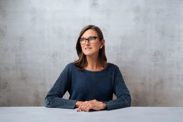 木头姐赢了巴菲特,未来10年最赚钱的领域都在这里了