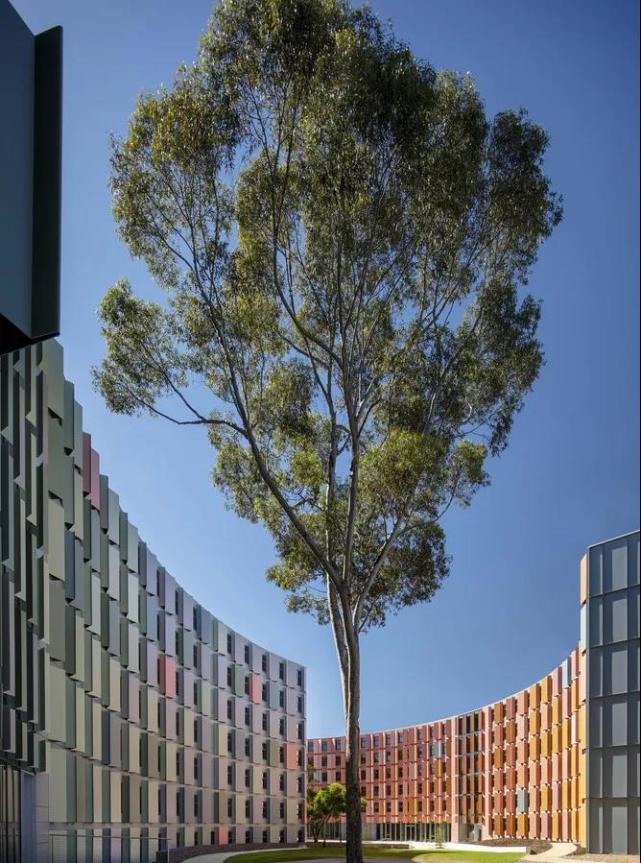 墨尔本又一大学建新宿舍 占地1万8平方米 总共275套