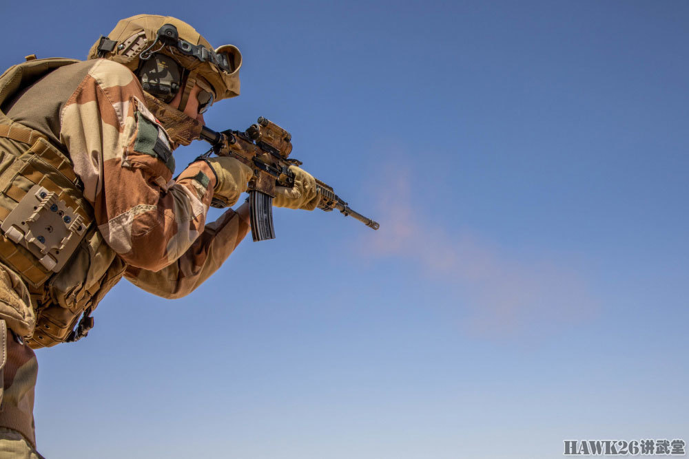 挪威军队的迷彩很像法军样式,都采用大面积的曲线色块.