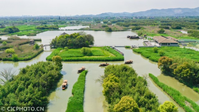 坐着摇橹船去赏春|德清县|浙江|下渚湖国家湿地公园|浙江省湖州市