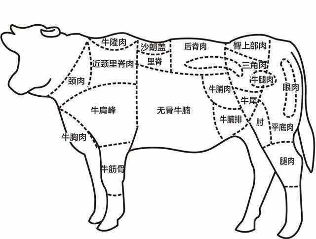 牛肉别再选错了这才是选择牛肉的正确方法一上架就被买走了