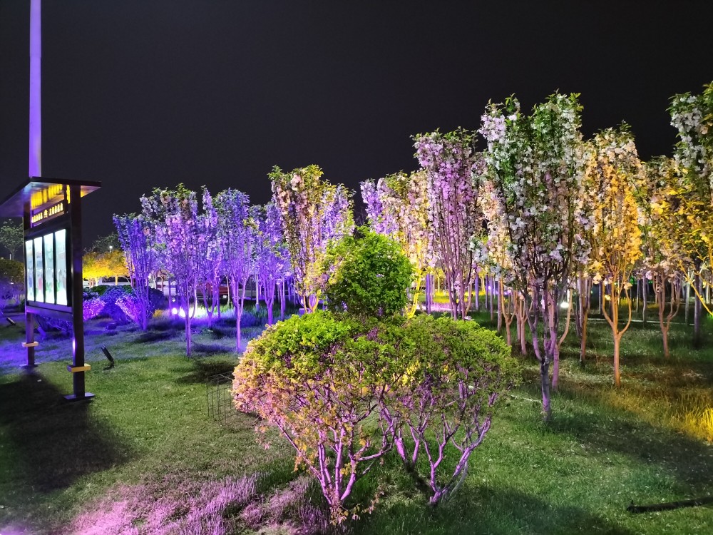 春日赏景好去处,值得一看的正定古城音乐喷泉,太壮观了