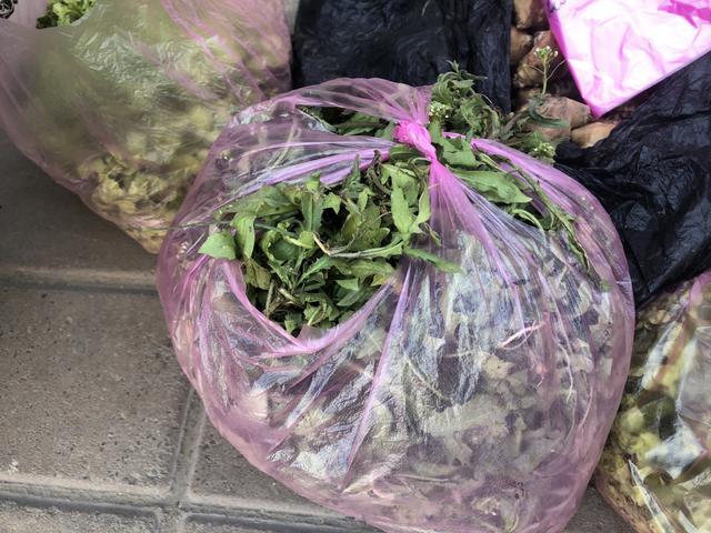 街头奶奶卖野菜,每袋只要3元,比超市实惠,我直接买5袋囤起来