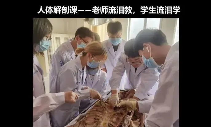 还记得我们上的第一堂解剖课吗?_腾讯新闻