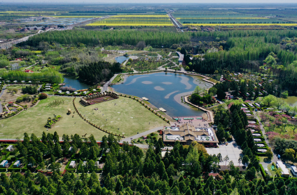 你好,花博丨oh my god!你也太美了吧