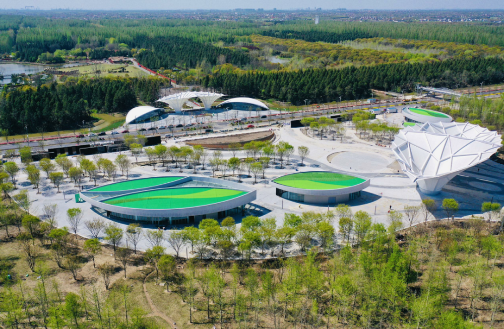 你好,花博丨oh my god!你也太美了吧