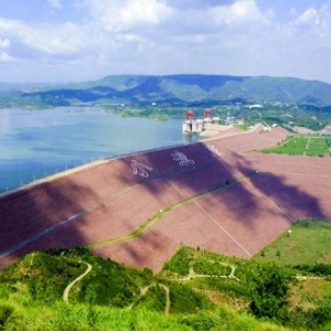 孟津县小浪底镇实施产业提质工程培育乡村振兴新动能