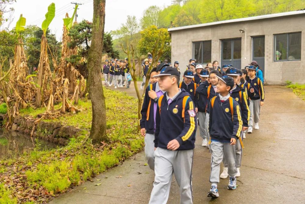 寧波市鎮海蛟川雙語小學:種植小番茄,拓樹葉,製作