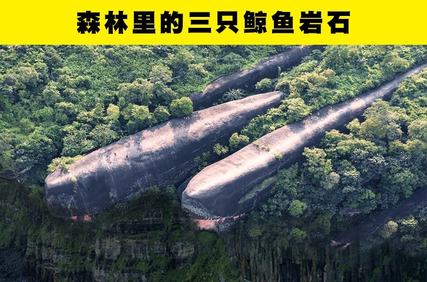 到了今天,科学家们也还是无法给出合理解释的6个神秘发现