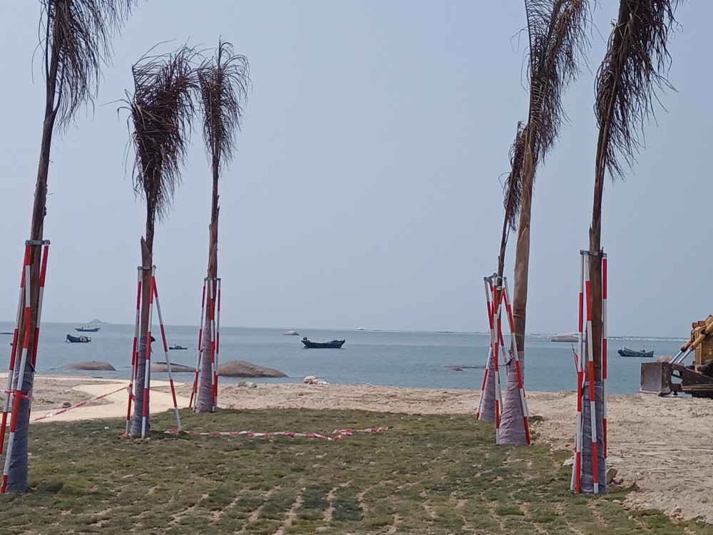 近日,从汕尾来到陆丰市金厢镇,汽车疾驰在修整一新,干净整洁的国道228