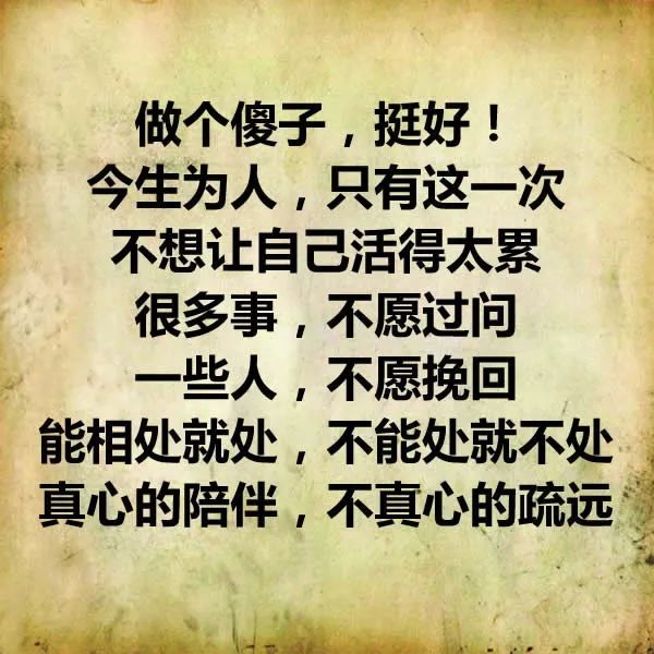 做个傻子挺好好文