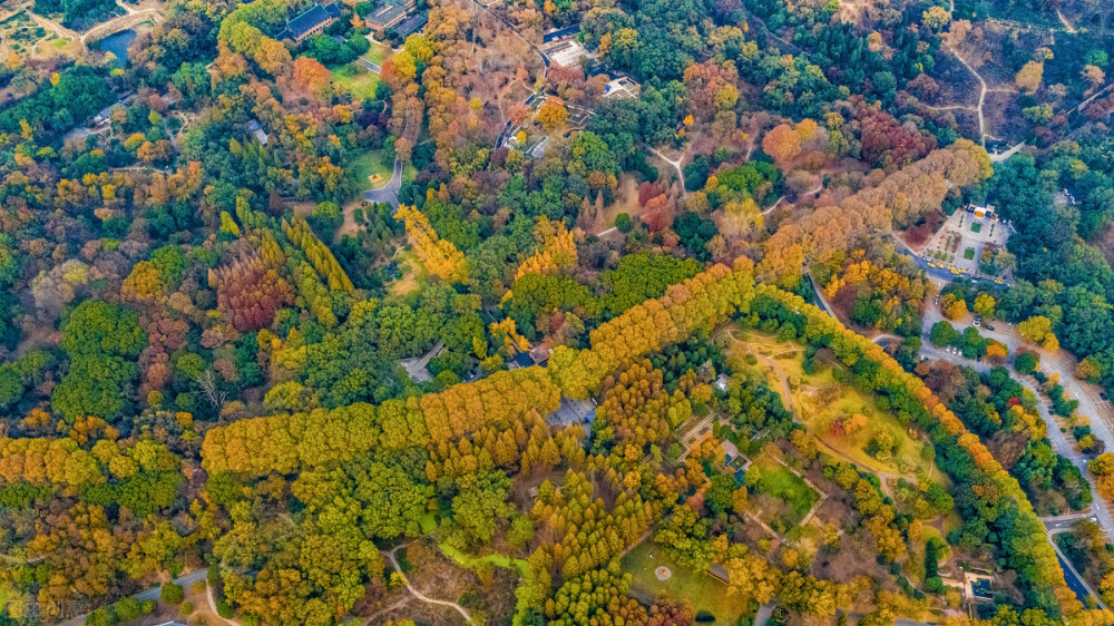 建议收藏《你是我的城池营垒》爆火,拍摄地南京又成打卡热门地