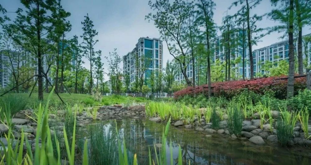 利好!海绵城市建设这样做