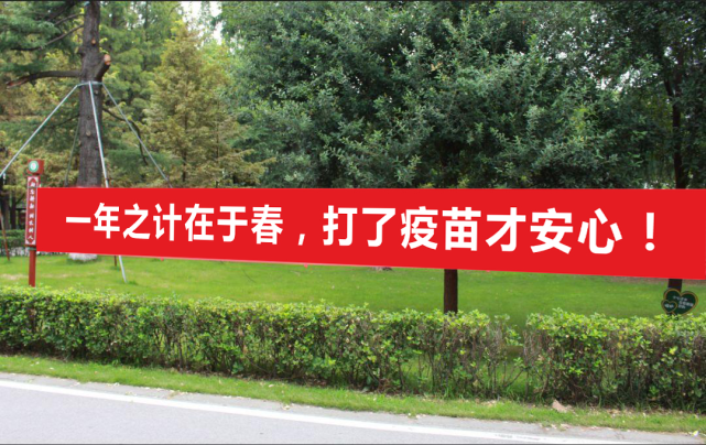 投票最燃新冠疫苗接种口号由你来定