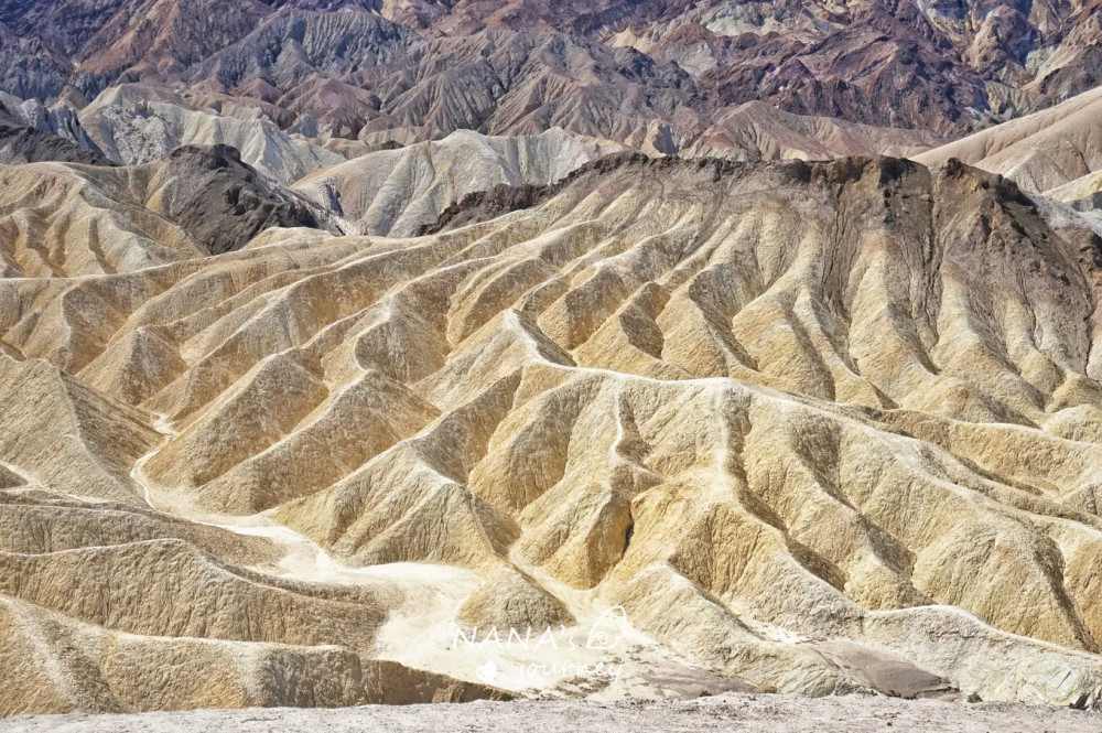 地质褶皱图片