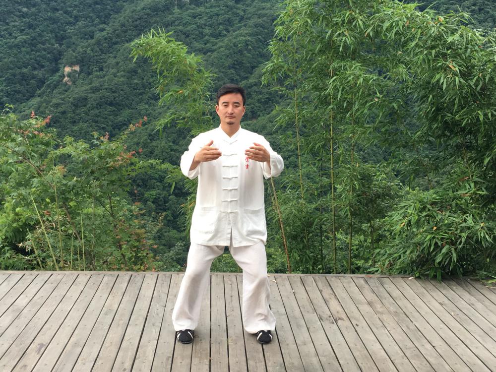 通往长寿之路的指路明灯:养生桩