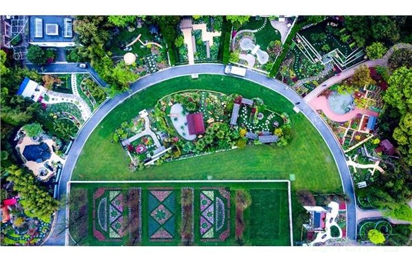 芳菲四月上海植物园七大打卡点等你来 腾讯新闻