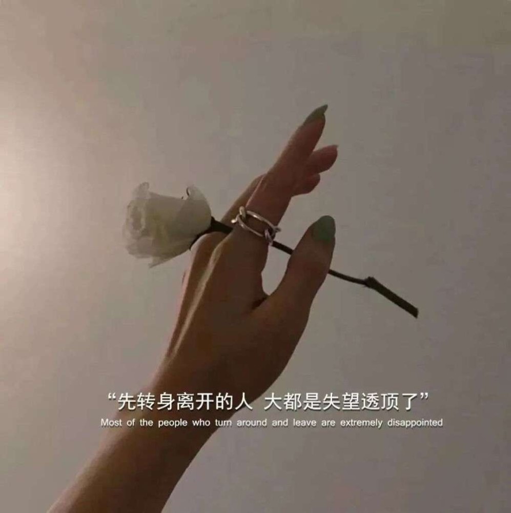 姐的文案度娘都不懂的喪