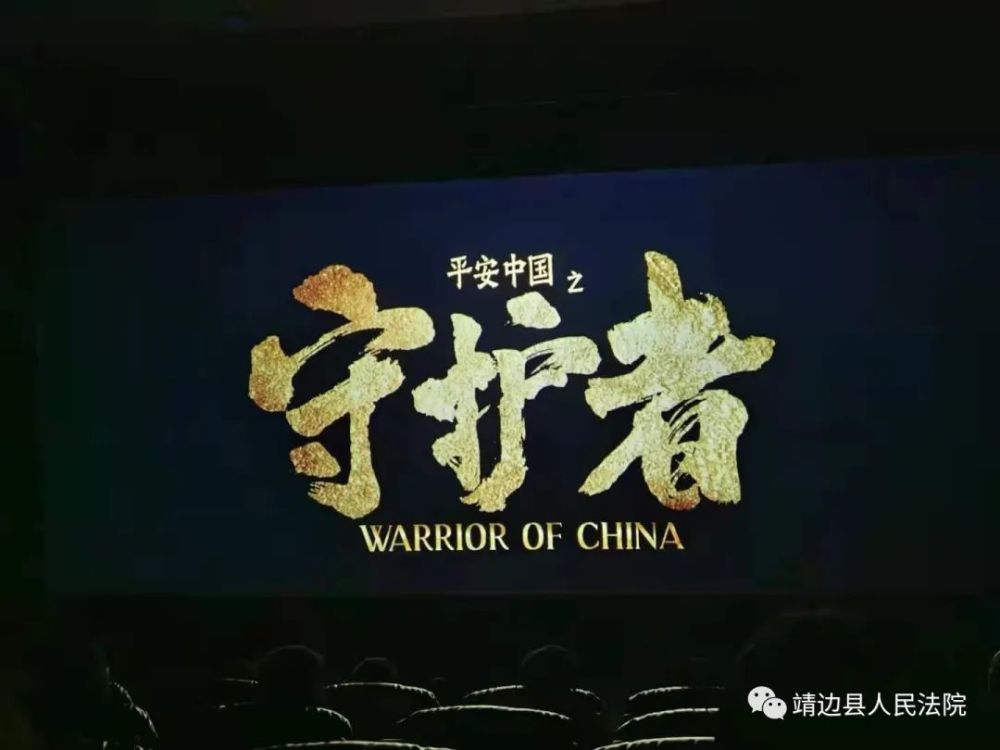 教育整顿进行时靖边县人民法院组织干警观看平安中国之守护者