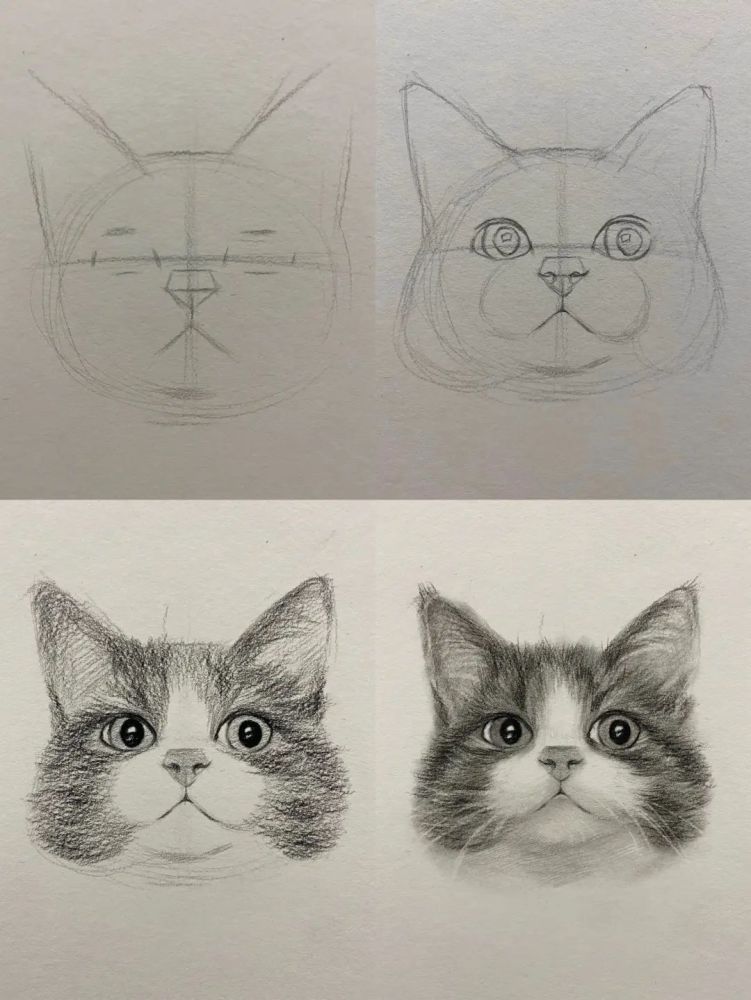 教你用素描画一只可爱猫咪头像