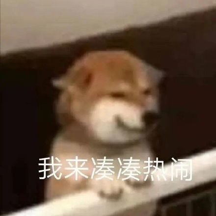 頭像表情包丨沙雕搞笑動物合集我來湊湊熱鬧