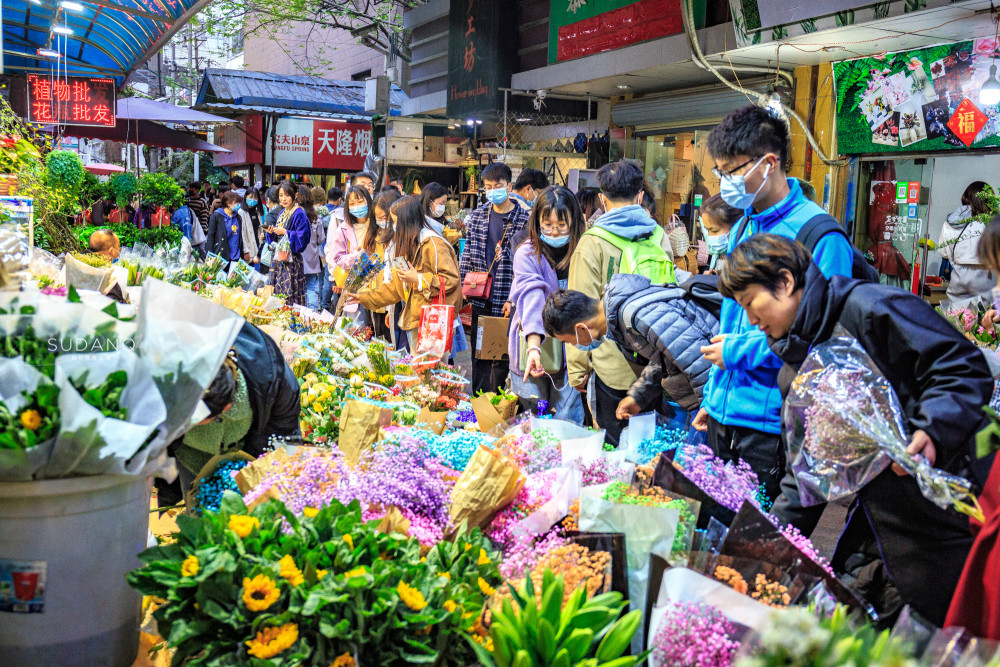 打卡武漢城區最大的花市:品種繁多實惠價格,大學生的約會勝地