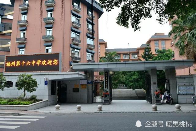 小学|中考|中金|福州外国语学校|清华附中|福州|毕业|烟台山|十二行