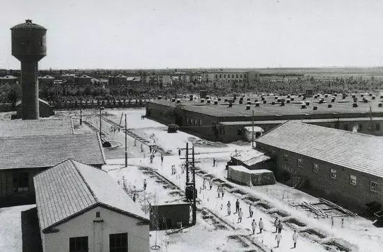 新疆生产建设兵团的"八一"情结