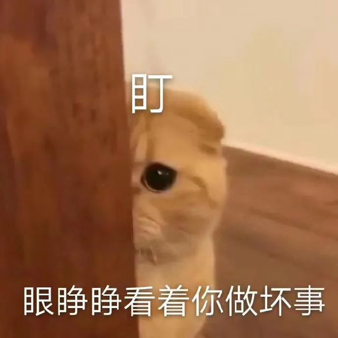 日常表情包盯眼睁睁看着你做坏事