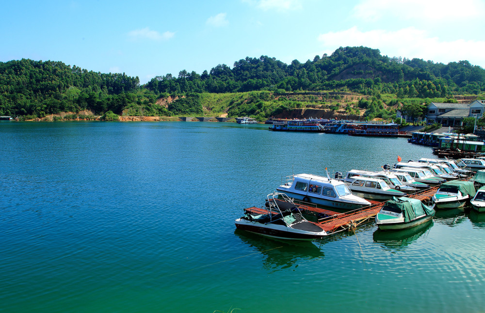 全域旅游东源样本黄振把绿水青山转化成金山银山全力打造河源全域旅游
