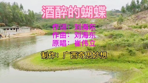 崔伟立原唱的一首酒醉的蝴蝶优美的旋律成了广场舞的神曲