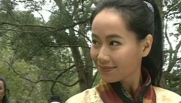 偶然间看到了电视里正在播出的《碧海青天》,里面演"岳瑛"的叶童着实