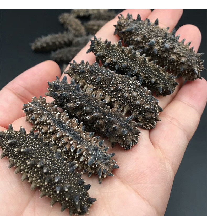 这款朝阳参纯野生关东参,加入早餐里,会更好的促进人体对营养的吸收