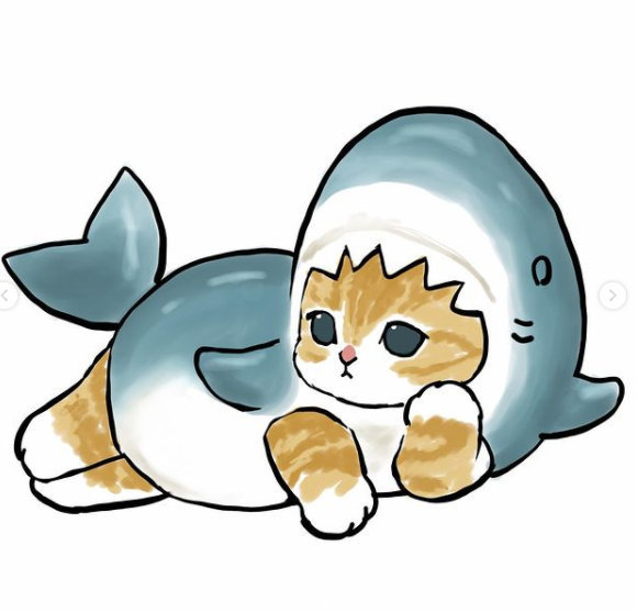 穿鲨鱼服的小猫咪呀