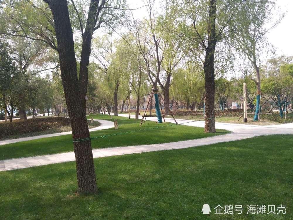 郑州惠济区古树苑,环境真是太好了,来到这里就不想走了