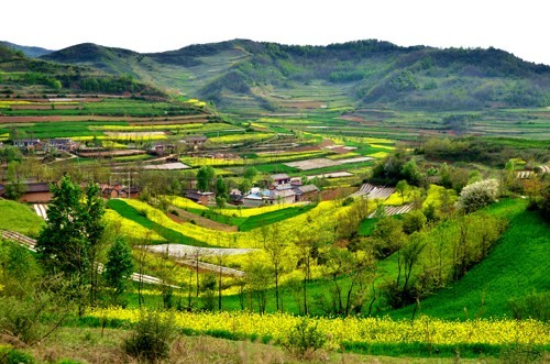秦州春来风景秀