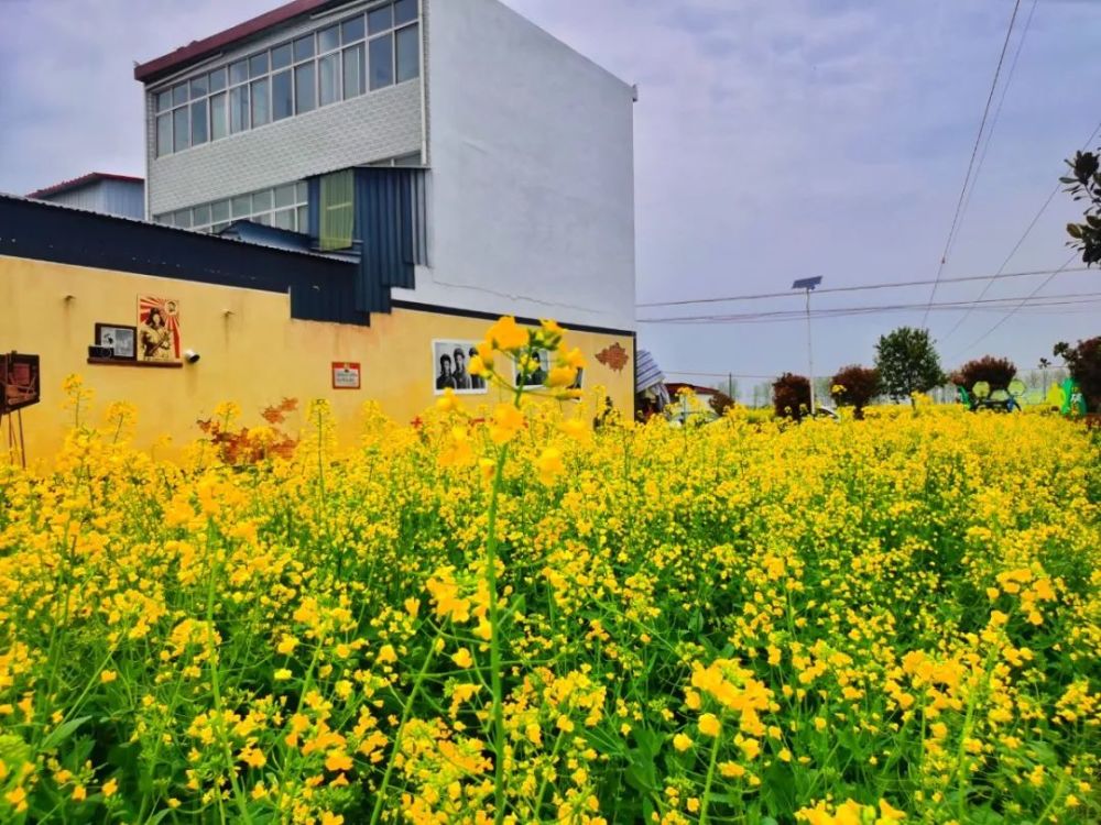 春游江淮请您来除了油菜花宿州永镇关湖还有更多惊喜