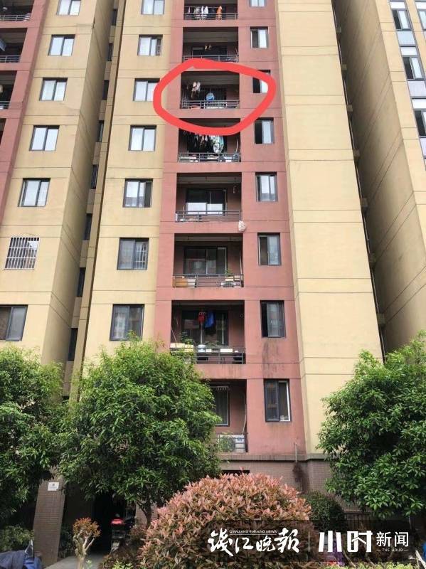 今天上午,有读者打进钱江晚报96068热线报料,说昨晚在杭州田园夏意苑