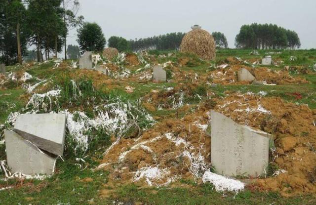 专家发现一男三女合葬墓,墓中出土"定情信物",如今价值4亿