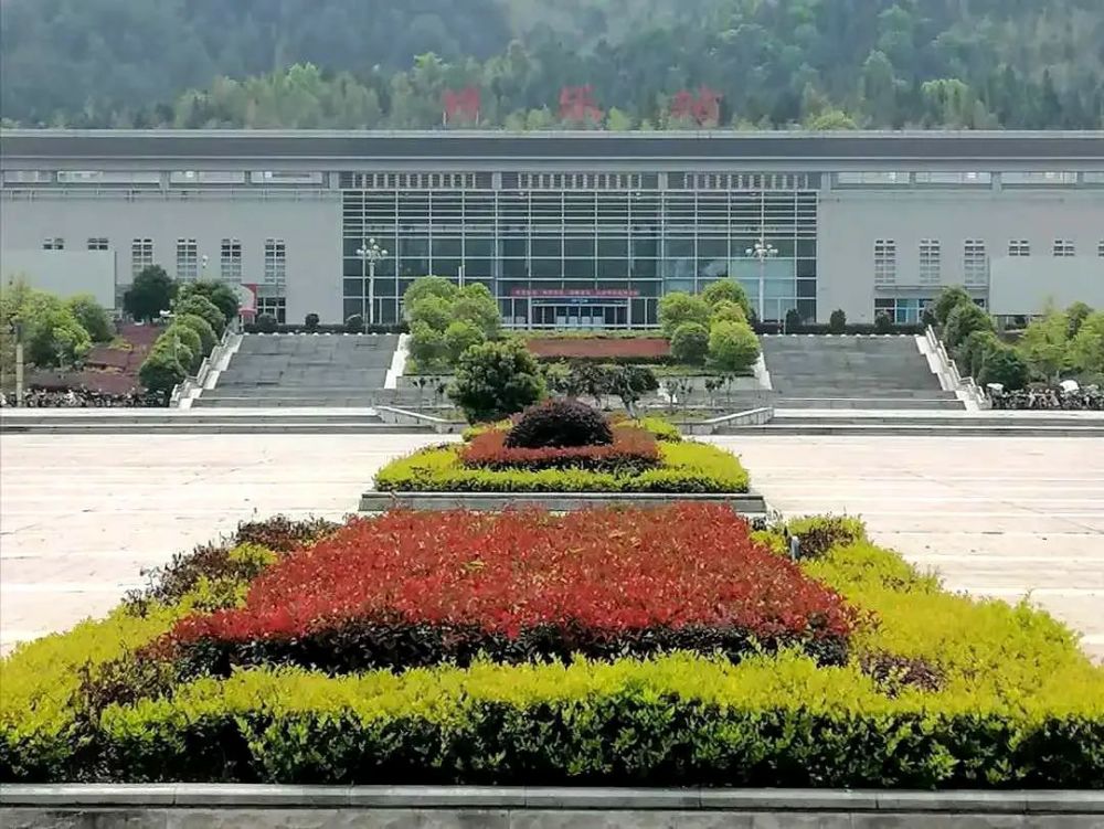 将乐玉华大道景观提升上品位,彩化香化惹芳菲|创建国家森林城市_腾讯