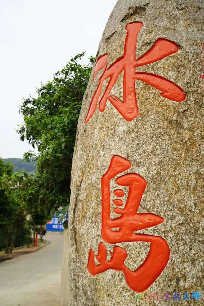 直播预告丨4月8日10:00 冰岛老寨茶王树保护开采!_腾讯新闻