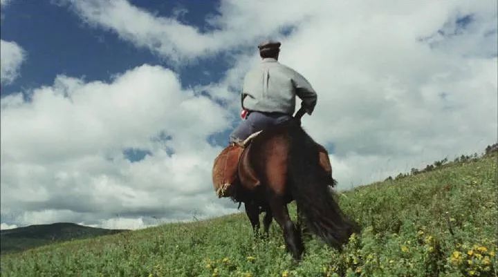 白音神气活现地在犍牛背上摇晃,不再留恋父亲骑着铁青马离去的背影.