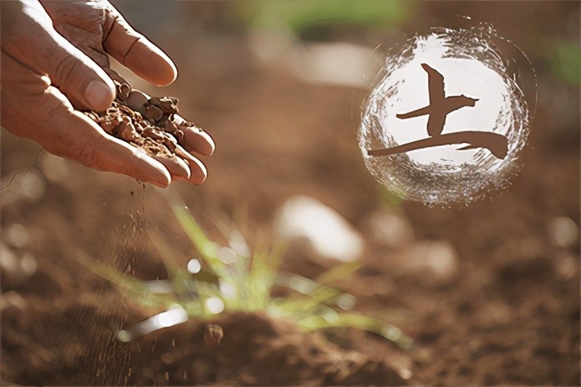 不同年份的生肖虎:优缺点是什么,如何提升自己的财运,事业运呢