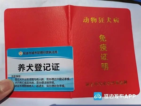 养狗的小伙伴速看延吉市养犬登记4月8日起正式开始