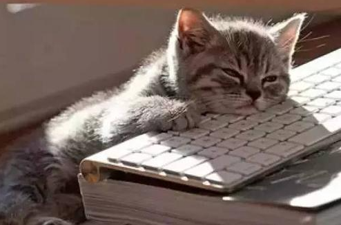 春季开车爱犯困新老司机用这几招缓解