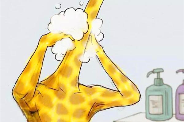 脑洞时刻长颈鹿吃零食滑滑梯时会是什么样