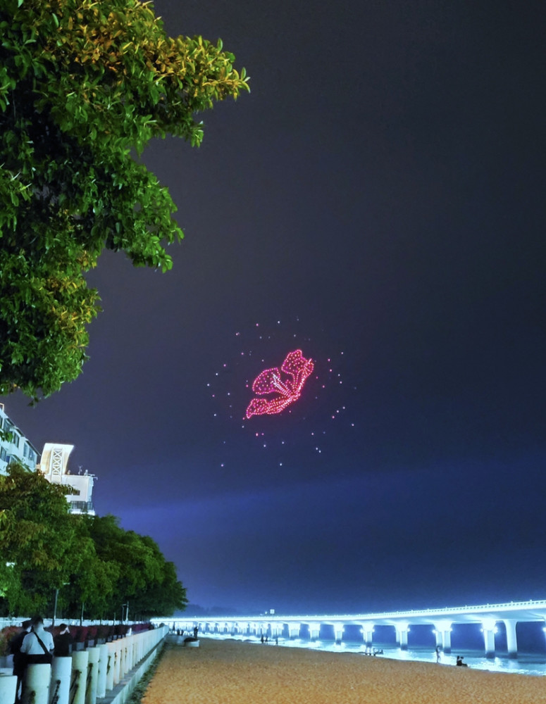 厦大百年校庆,无人机点亮夜空,网友向28岁离世的他致敬_腾讯新闻