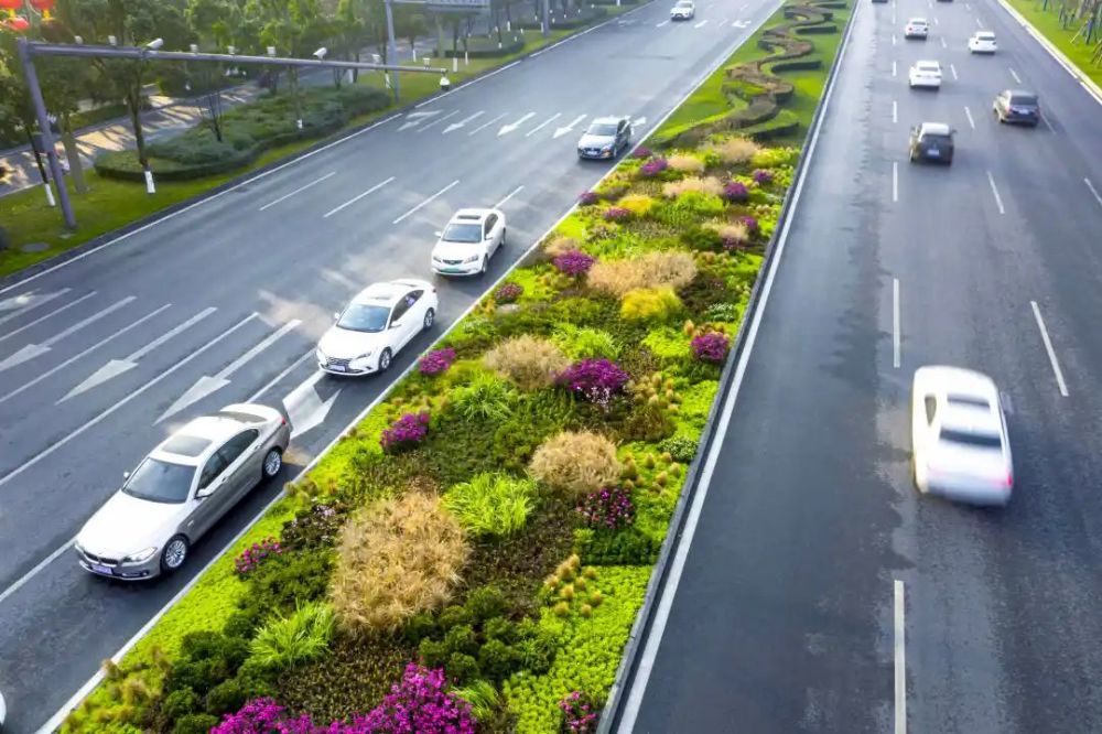 人行道及路侧绿带天府大道中分带,侧分带,改造区域主要包括提升改造